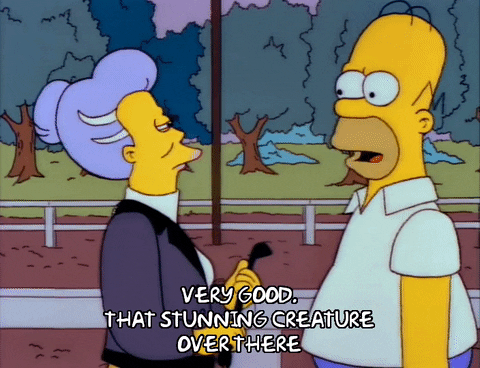 season 3 homer GIF