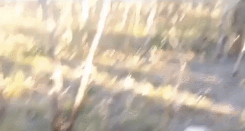 Game Wow GIF by JustViral.Net