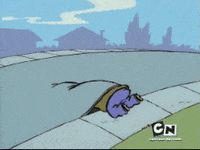 network eddy GIF