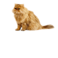 mmb monetakocour Sticker by MonetaMoneyBank