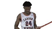 Happy Dance Sticker by Carson-Newman Athletics