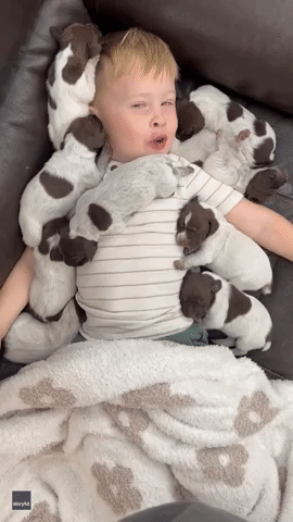 Little Boy Covered in Puppies Is Picture of Pure Joy