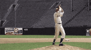 Robert Redford Baseball GIF