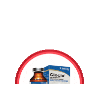 Bimeda bimeda clocio Sticker