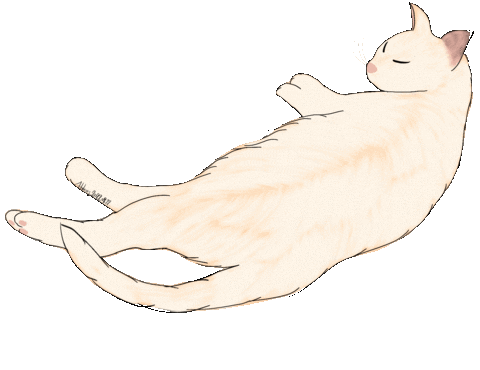 Cat Justin Sticker