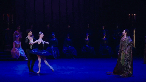 Swanlake GIF by English National Ballet