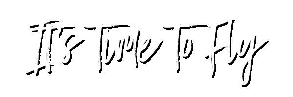 Timetofly Sticker by Freebird Stores