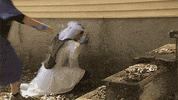 bachelor party reality tv GIF by Bachelorette Weekend on CMT