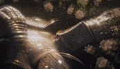 Broken Knight Edit GIF