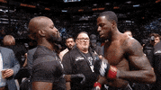 Mixed Martial Arts Fighting GIF by UFC