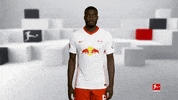 Posing Line Up GIF by Bundesliga