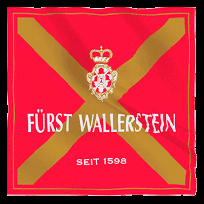 Beer Flag GIF by Fürst Wallerstein