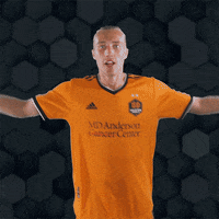 Lets Go Reaction GIF by Houston Dynamo FC