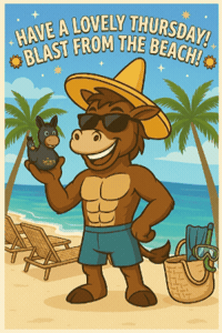 Thursday Beachclub GIF by Mr. Sancho's Cozumel
