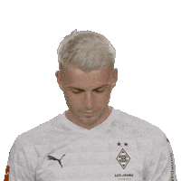 Line Up Smile Sticker by Bundesliga