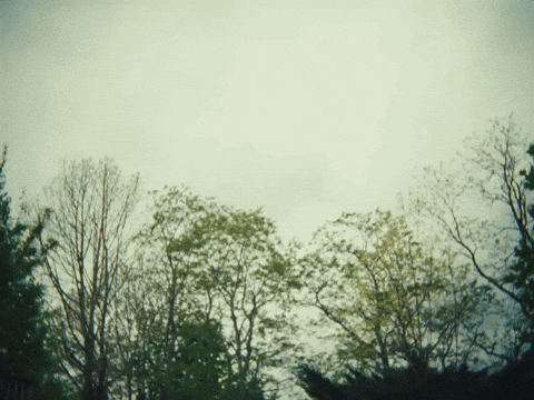 Darling Blue GIF by Marcus King