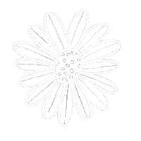 Flower Spring Sticker by Dorota Duzinkiewicz
