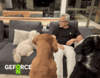 Dog GIF by NVIDIA GeForce