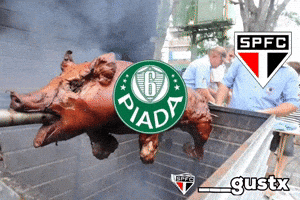 Sao Paulo GIF