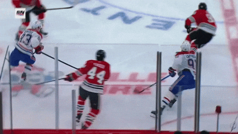 Hit Montrealcanadiens GIF