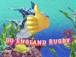 Go England Rugby!