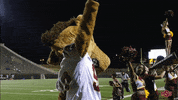 MSUTexas college university texas msu GIF