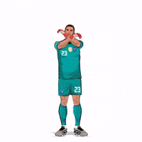 World Cup No GIF by Panini America