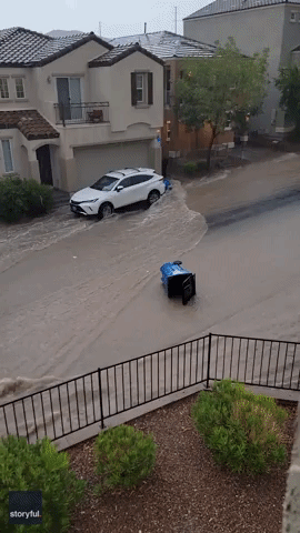 Flooded Street 'Takes Out the Trash'