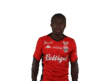Ligue 2 Football Sticker by EA Guingamp