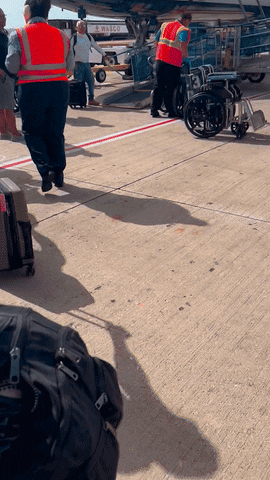 Travel Flying GIF