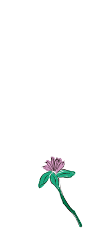 yerbaverdeflor flower flowers argentina flores Sticker