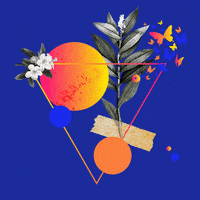 painttheworld birth mushrooms symbols jung GIF