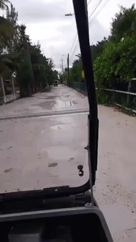 Floodwater Fills Streets in Caye Caulker, Belize, Following Hurricane Lisa
