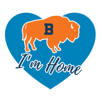 Football Heart Sticker by Bucknell University