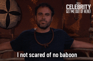 Imacelebrityau GIF by I'm A Celebrity... Get Me Out Of Here! Australia