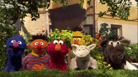 GIF by NDR