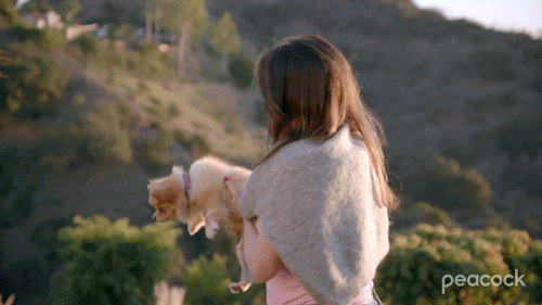 Dog GIF by PeacockTV