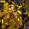 World Cup Yes GIF by EA SPORTS FC