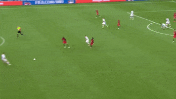 copa del mundo rusia 2018 GIF by MiSelecciónMX