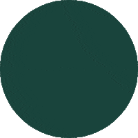 Zoo Zebra Sticker by Prima