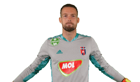 Football Vidi Sticker by MOL Fehérvár FC