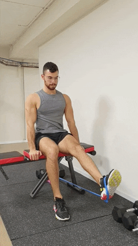 ONEBODY giphyupload homeworkout אימוןביתי גומייה GIF