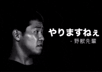 Japan Japanese GIF