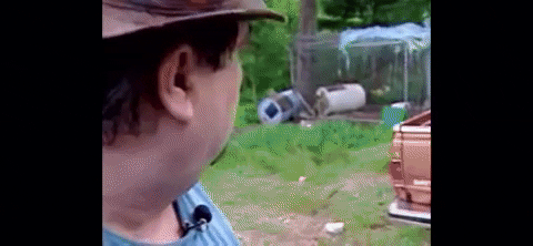 Cid73 giphyupload GIF