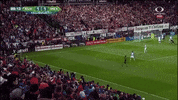 estados unidos mexico GIF by MiSelecciónMX