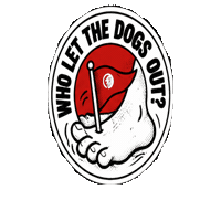Red Flag Sticker by ROAR Active
