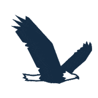 AISFinancialGroup investment ais aisfinancialgroup ais financial Sticker