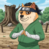 Getting Ready To Fight Shiba Inu GIF by Doge Pound