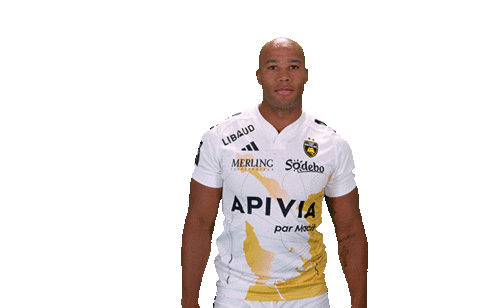 Sport Celebration Sticker by Stade Rochelais