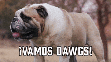 ¡Vamos Dawgs!